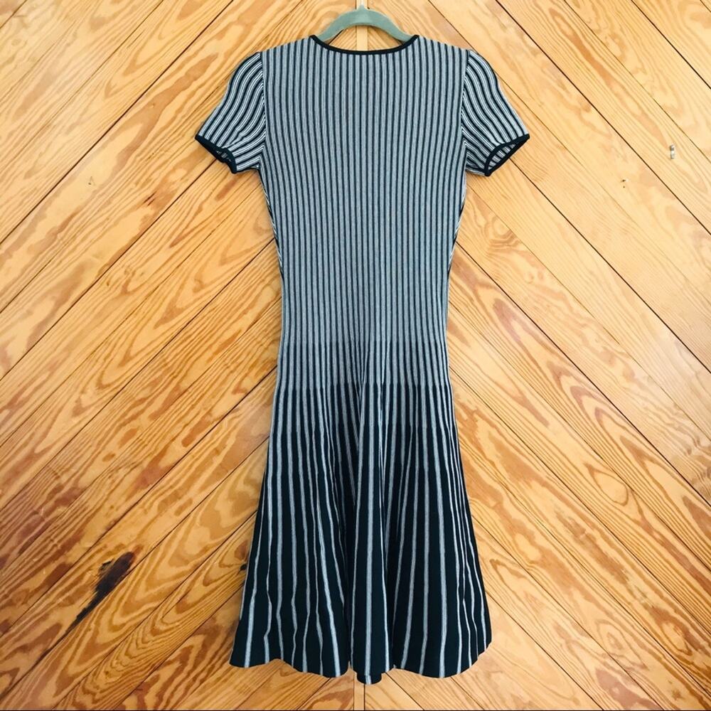 Tomas Maier Stripe Knit Fit and Flare Dress - Picture 8 of 8
